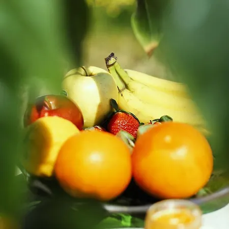 Spigolatrice Frühstückspension