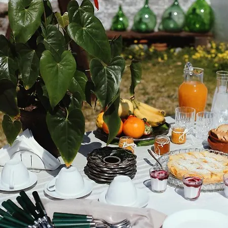 Spigolatrice 3* Sapri