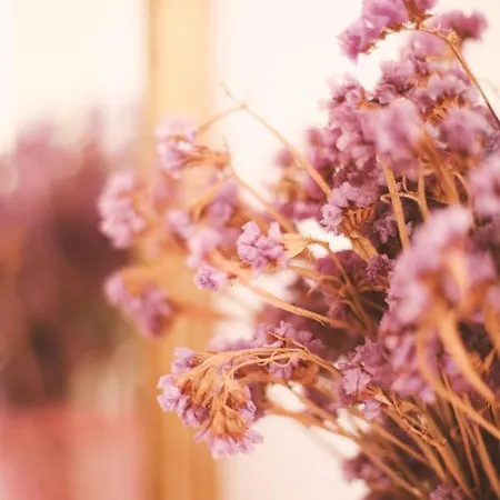 Spigolatrice Bed & Breakfast 3*