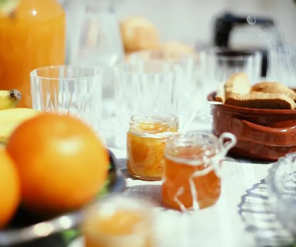 לינה וארוחת בוקר Spigolatrice